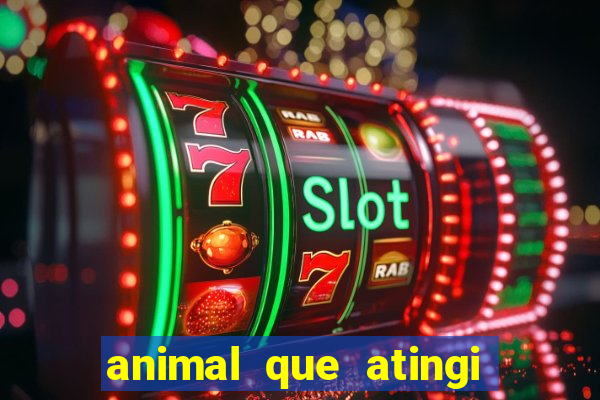 animal que atingi 230 decibeis